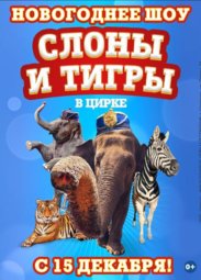 Цирк, Новогодняя программа «Слоны и Тигры»