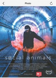 Кино, Социальные животные