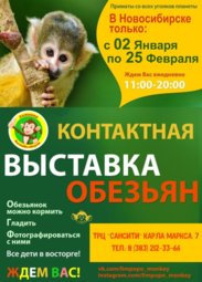 Детям, Выставка обезьян «Лимпопо»