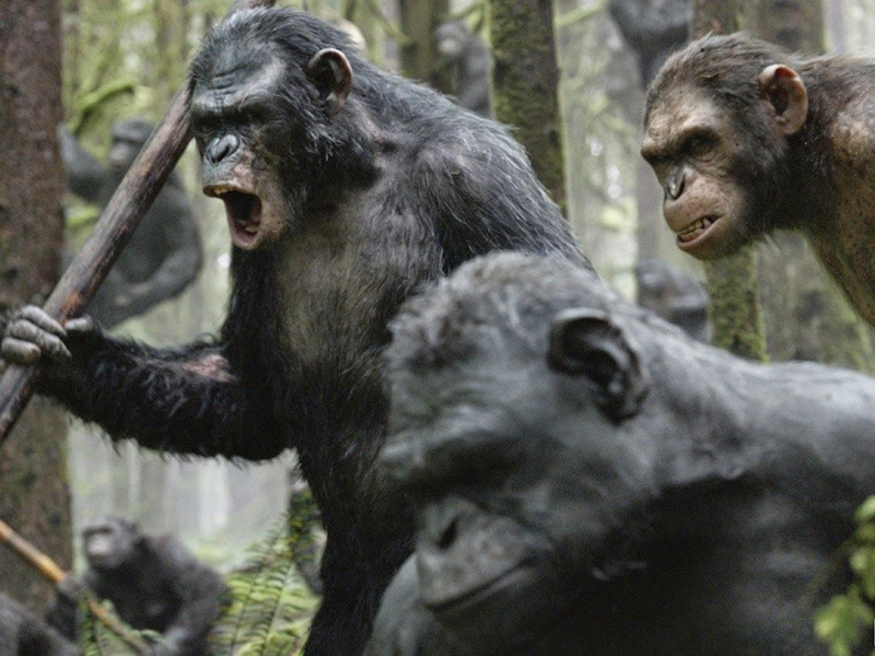 Сборы «Планеты обезьян» достигли 600 миллионов долларов