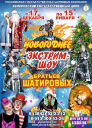 Расписание цирк на декабрь. Цирк Кемерово афиша. Цирк Волгоград афиша. Новогодняя цирковая афиша. Цирк новогоднее шоу афиша.